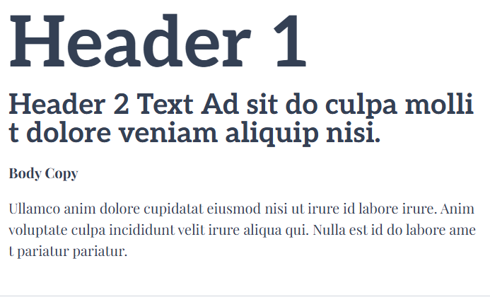 Picture of corresponding demo image showing page typography in Engaging Networks
