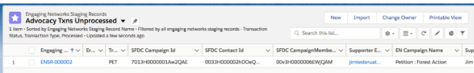 Picture of SFDC Campaign ID completed in Salesforce