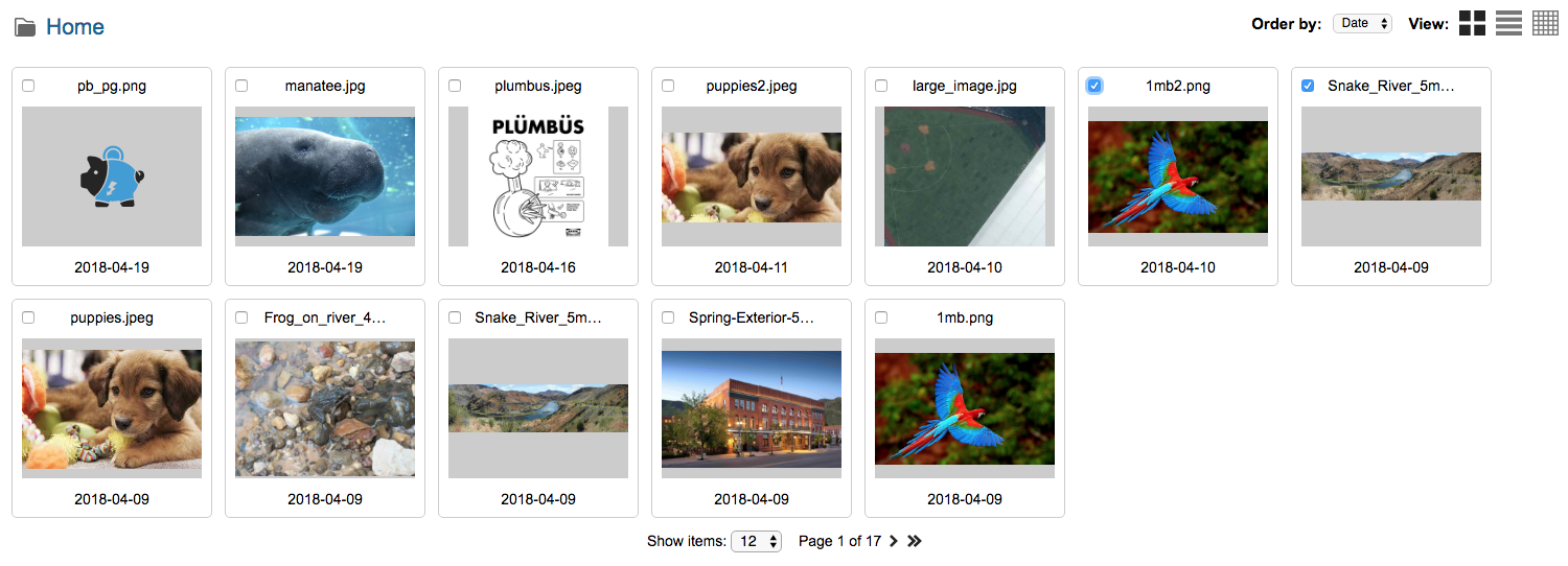 library-view.png