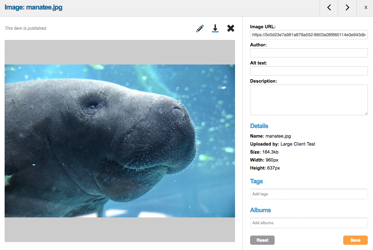 image-preview_0.png