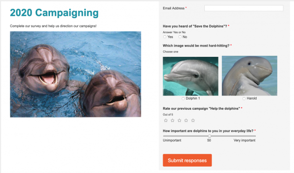 survey-example.png